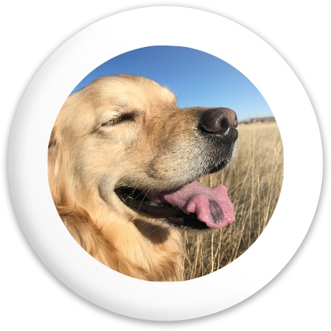 Design 608763 Disc Golf and Ultimate Discs