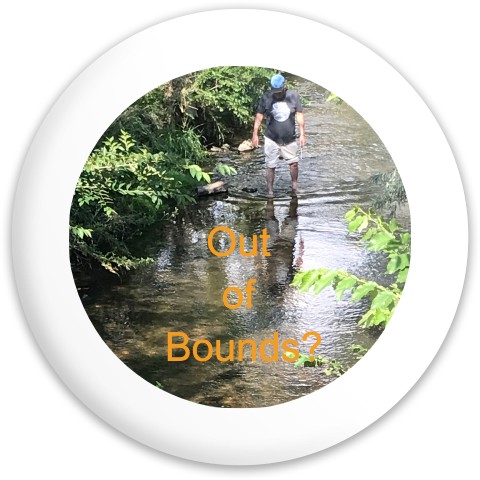Design 608817 Disc Golf and Ultimate Discs