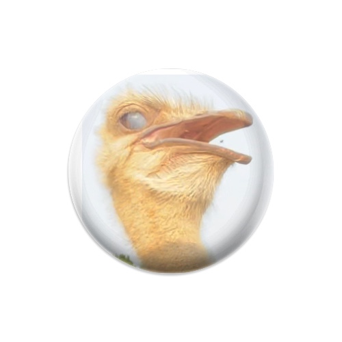 Design 611200 Disc Golf and Ultimate Discs