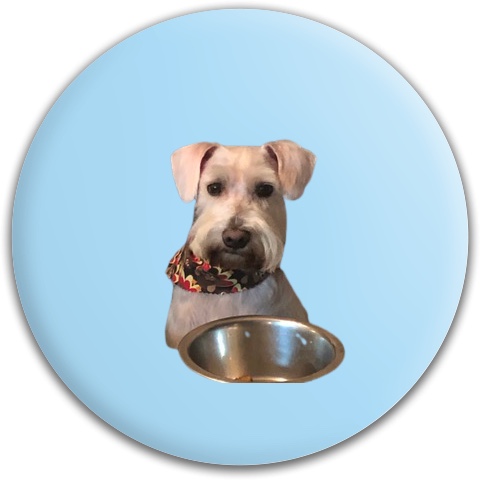 Design 614221 Disc Golf and Ultimate Discs