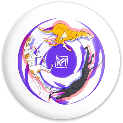 Design 615423 Disc Golf and Ultimate Discs