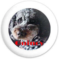 Quincy