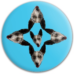 Design 618774 Disc Golf and Ultimate Discs Image