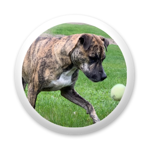 Design 618843 Disc Golf and Ultimate Discs