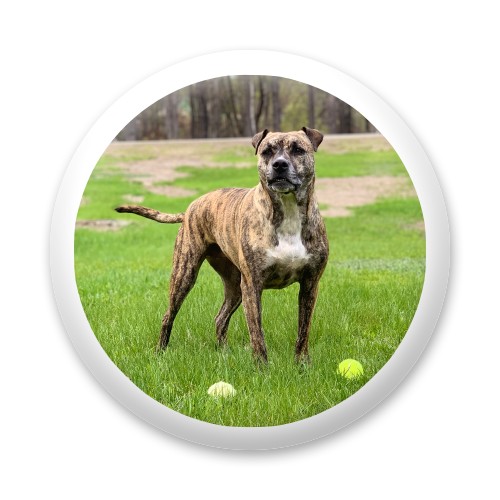 Design 618846 Disc Golf and Ultimate Discs