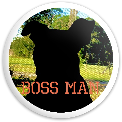 Design 619884 Disc Golf and Ultimate Discs