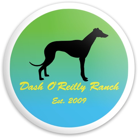 Design 620425 Disc Golf and Ultimate Discs