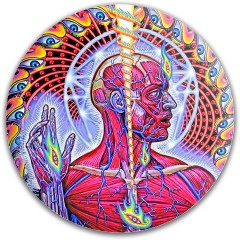 Design 625389 Disc Golf and Ultimate Discs Image