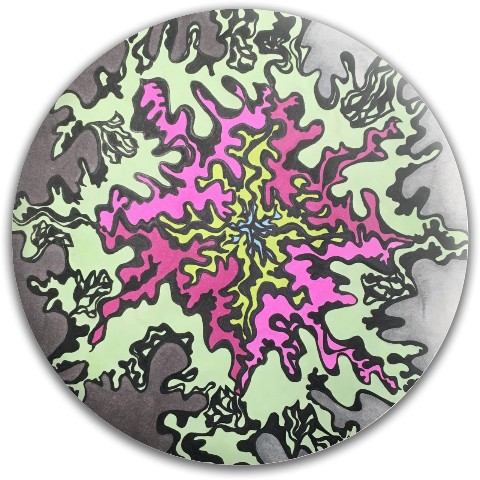 Design 626773 Disc Golf and Ultimate Discs