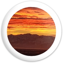 Design 628010 Disc Golf and Ultimate Discs Image