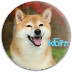 Design 628108 Disc Golf and Ultimate Discs Image