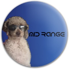 Design 629506 Disc Golf and Ultimate Discs Image