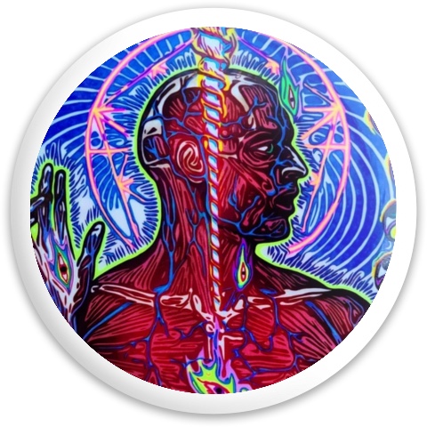 Design 629827 Disc Golf and Ultimate Discs