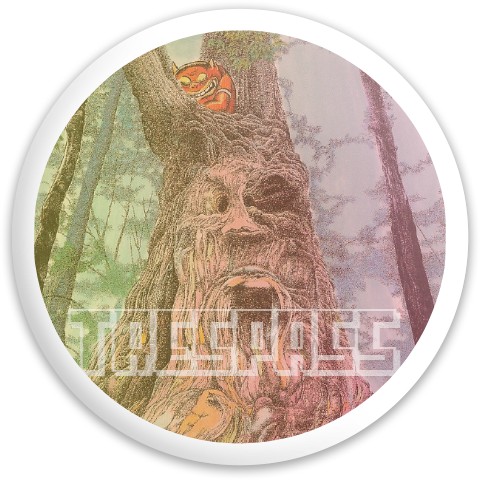 Design 630571 Disc Golf and Ultimate Discs