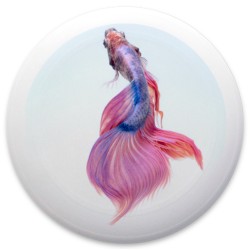Design 630733 Disc Golf and Ultimate Discs Image