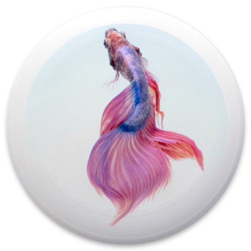 Design 630733 Disc Golf and Ultimate Discs