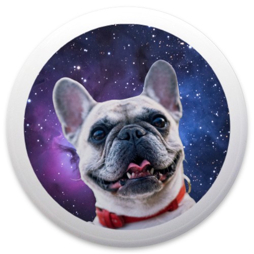 Design 630738 Disc Golf and Ultimate Discs