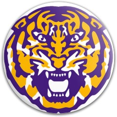 Design 633420 Disc Golf and Ultimate Discs Image