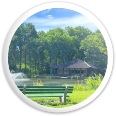 Design 635729 Disc Golf and Ultimate Discs Image