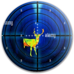 Design 636120 Disc Golf and Ultimate Discs Image