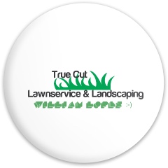 Design 636201 Disc Golf and Ultimate Discs Image