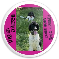 Design 637875 Disc Golf and Ultimate Discs Image