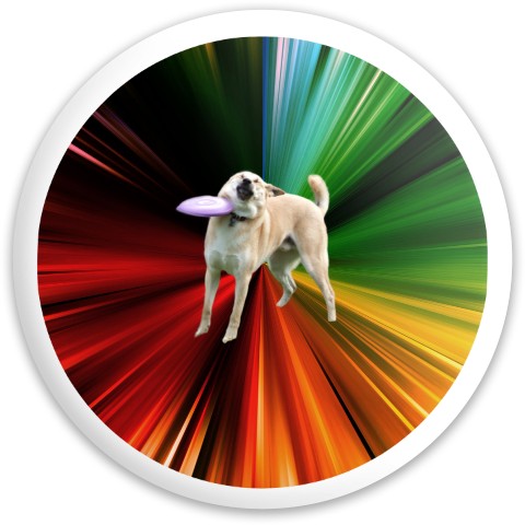 Design 638991 Disc Golf and Ultimate Discs