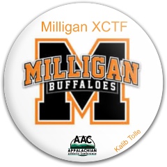 Design 640279 Disc Golf and Ultimate Discs Image