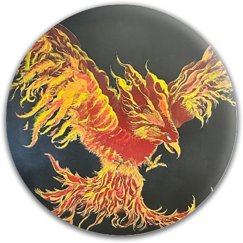 Design 640662 Disc Golf and Ultimate Discs