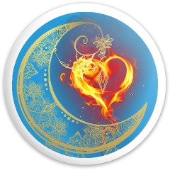 Design 645554