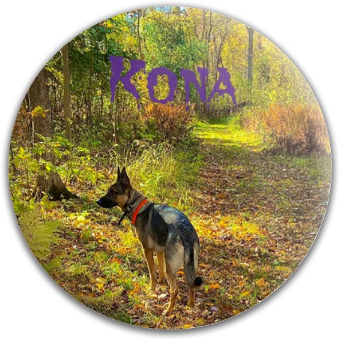 Design 646636 Disc Golf and Ultimate Discs