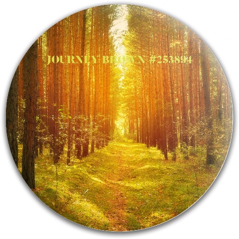 Design 647398 Disc Golf and Ultimate Discs