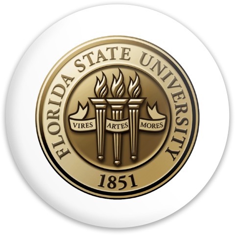 Design 649619 Disc Golf and Ultimate Discs