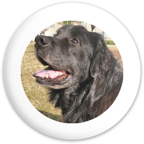 Design 650075 Disc Golf and Ultimate Discs