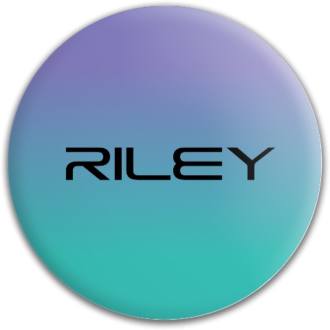 Design 650601 Disc Golf and Ultimate Discs