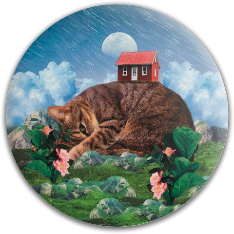 Design 651007 Disc Golf and Ultimate Discs