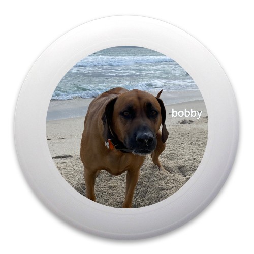 Design 652000 Disc Golf and Ultimate Discs