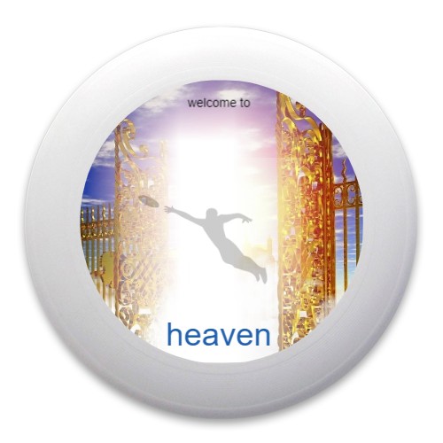 Design 652149 Disc Golf and Ultimate Discs