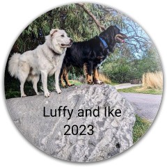 Design 655345 Disc Golf and Ultimate Discs Image