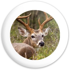 Design 655455 Disc Golf and Ultimate Discs Image