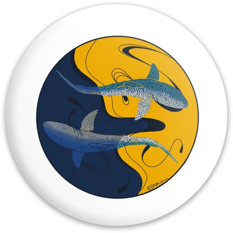 Design 655481 Disc Golf and Ultimate Discs