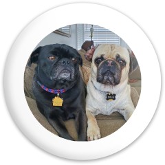 Design 655778 Disc Golf and Ultimate Discs Image