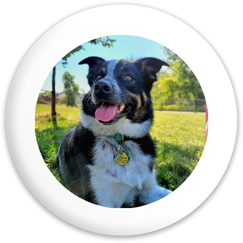 Design 657115 Disc Golf and Ultimate Discs