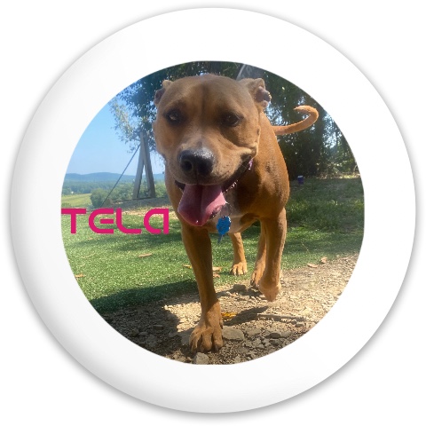 Design 657415 Disc Golf and Ultimate Discs