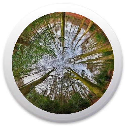 Design 662193 Disc Golf and Ultimate Discs