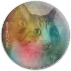 Design 663175 Disc Golf and Ultimate Discs Image