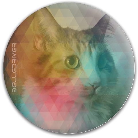 Design 663175 Disc Golf and Ultimate Discs