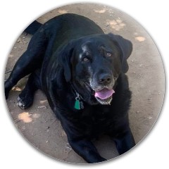 Design 664126 Disc Golf and Ultimate Discs Image