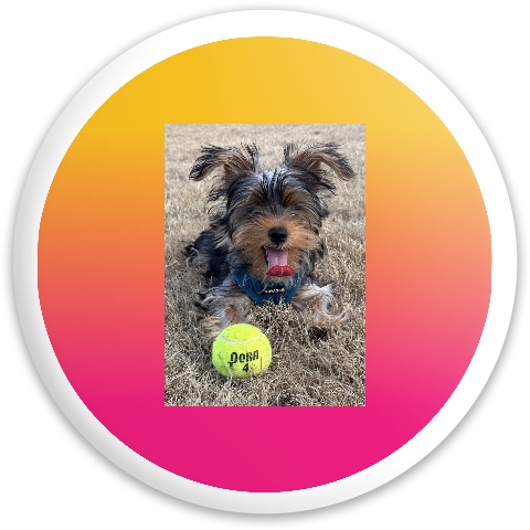 Design 664169 Disc Golf and Ultimate Discs
