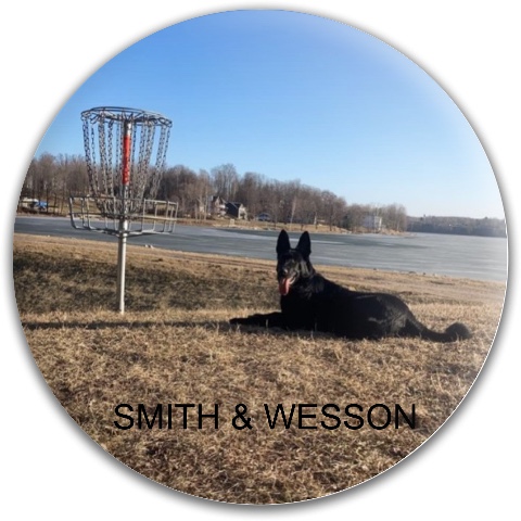 Design 665388 Disc Golf and Ultimate Discs